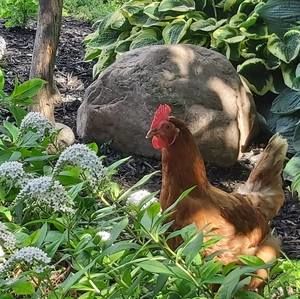 Meet your Posher, Cathy